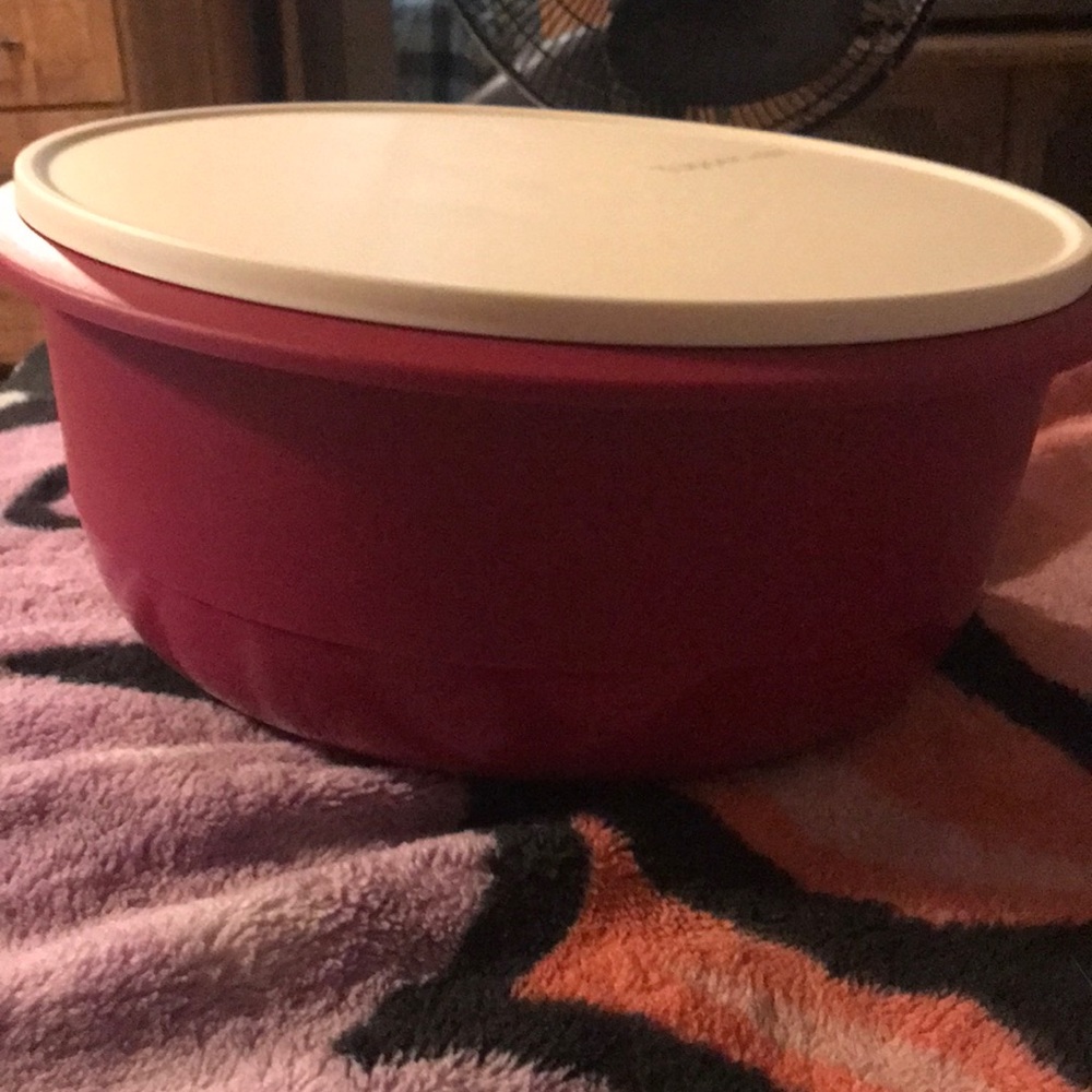 New never used 40 cup Tupperware bowl with seal